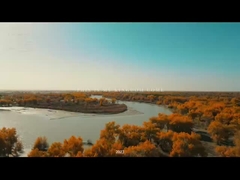 Construction de la Ligue des jeunes du Xinjiang